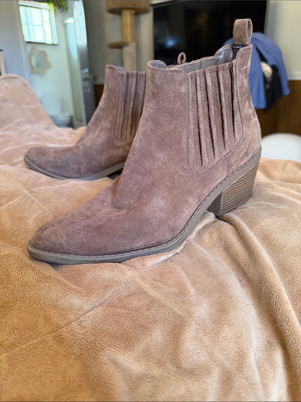 Suede ankle boots